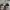 Balenciaga Streetwear Casual Sneakers Pria white gray photo 5