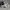 Balenciaga Streetwear Casual Sneakers Pria white gray photo 3