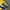 Chase Nascar Y2K Sportswear Hat Pria navy yellow photo 6