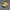 Chase Nascar Y2K Sportswear Hat Pria navy yellow photo 2