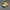 Chase Nascar Y2K Sportswear Hat Pria Navy Yellow