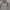 LAINE Casual Casual shirt Pria gray cream photo 3