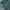 LAINE Casual Casual shirt Pria green red photo 5