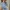 Streetwear Coquette Cardigan Wanita blue photo 5