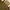 Longchamp Minimalist Casual Tote bag Wanita green brown photo 5