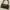 Longchamp Minimalist Casual Tote bag Wanita green brown photo 1