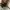 Longchamp Minimalist Casual Tote bag Wanita green brown photo 3