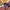 Vintage Streetwear T-shirt Pria Multicolor