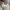 Vintage Lolita Blazer Wanita multicolor photo 2