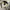 Stussy Streetwear Hoody Pria white photo 6