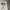 Stussy Streetwear Hoody Pria white photo 2