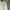 Stussy Streetwear Hoody Pria white photo 4