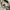 Stussy Streetwear Hoody Pria white photo 5