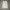 Stussy Streetwear Hoody Pria white photo 3