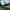 Ne-net Minimalist Pria green photo 6