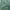 Ne-net Minimalist Pria green photo 7