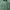 Ne-net Minimalist Pria green photo 3