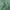 Ne-net Minimalist Pria green photo 4