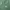 Ne-net Minimalist Pria green photo 8