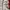 Vivastudio Vintage Sweater Pria white photo 4