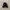 Nike Streetwear Sneakers Pria black photo 1