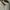 Stussy Streetwear Hoody Pria gray photo 6
