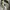 Stussy Streetwear Hoody Pria gray photo 5