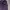 Stussy Streetwear Hoody Pria purple photo 2
