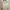 Japanese brand Fairy Coquette Evening dress Wanita white blue photo 5