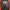 Spao Vintage Sweater Pria navy photo 1