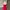 Japanese brand Y2K Casual Casual dress Wanita red photo 2