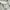 Jeep Casual Sweatshirt Pria gray photo 3