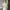 Japanese brand Luxury Minimalist Going out dress Wanita white photo 2