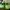 Nike Streetwear Sneakers Pria green photo 1
