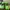 Nike Streetwear Sneakers Pria Green