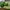 Nike Streetwear Sneakers Pria green photo 2