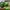 Nike Streetwear Sneakers Pria Green