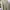 Nike Vintage Streetwear Hoody Pria tan cream photo 1