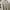 Nike Vintage Streetwear Hoody Pria Tan Cream