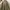 Nike Vintage Streetwear Hoody Pria tan cream photo 3