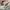 Nike Vintage Streetwear Hoody Pria tan cream photo 5