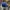 Casual Hat Pria blue photo 4