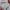 Lotto Sport Italia Vintage Sportswear Jersey Pria white red photo 4