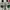 Adidas Indie Casual Sneakers Pria white green photo 4