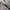 New Balance Indie Casual Sneakers Pria tan gray photo 2