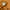 Carhartt Streetwear T-shirt Pria brown photo 7
