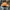 Casual Hat Pria orange photo 4