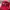 Marlboro Vintage Casual Hat Pria Red