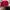 Marlboro Vintage Casual Hat Pria red photo 2