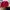 Marlboro Vintage Casual Hat Pria Red